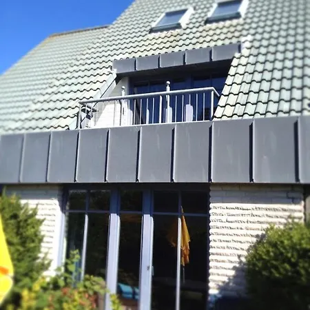Seeschwalbe 12 2